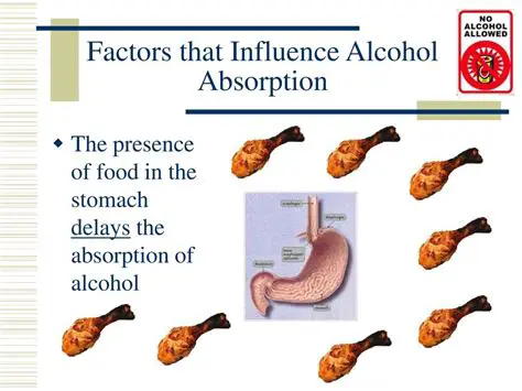 Factors that Influence Alcohol Absorption