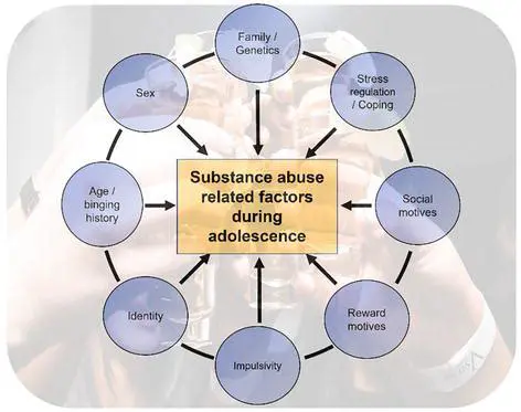Factors that Influence Substance Reactions