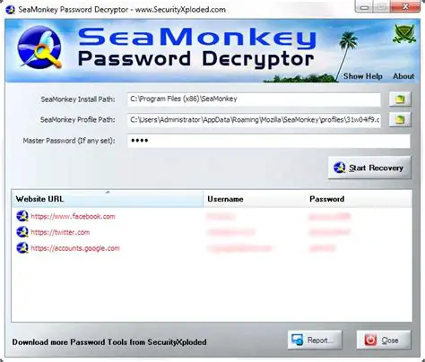 Features and Benefits of SeaMonkey Password Decryptor