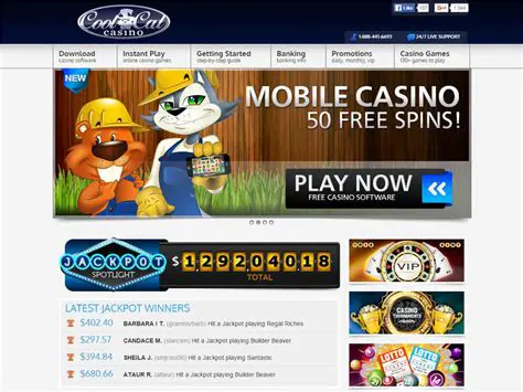 Features of Cool Cat Casino