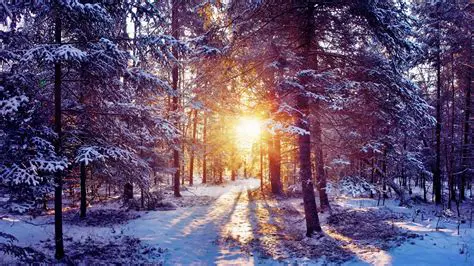 Features of Desktop Snow Wallpaper