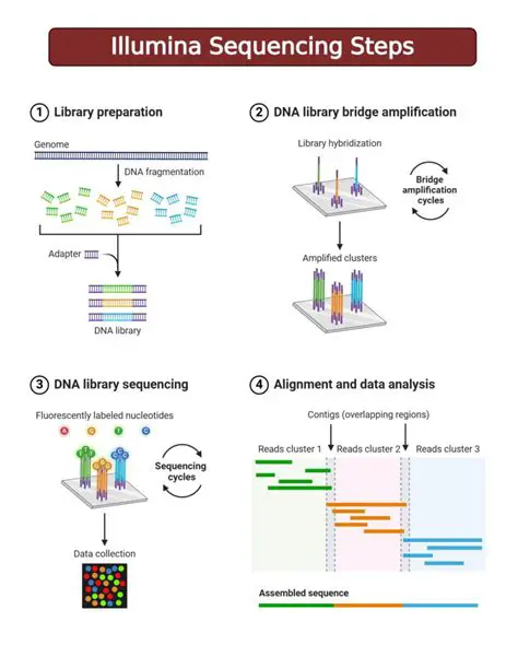 Features of Illumina Amplicon Viewer
