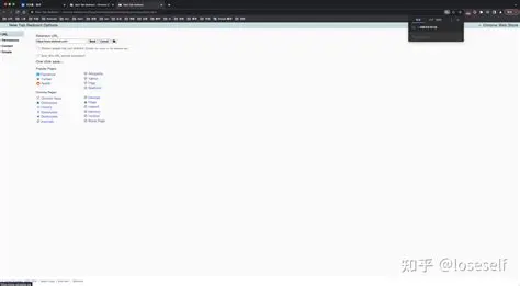 Features of New Tab Redirect