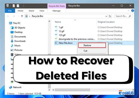 Features of RecoverBits Deleted File Recovery