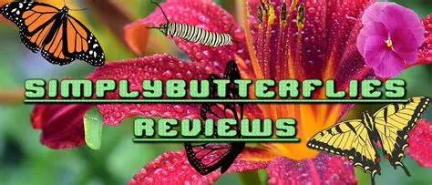 Features of Simply Butterflies