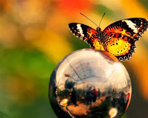 Features of the Captivating Butterfly Screensaver