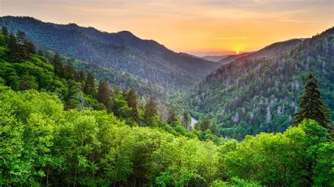 Features of the Mountain Forest Screensaver