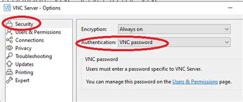 Features of VNC Password Decryptor