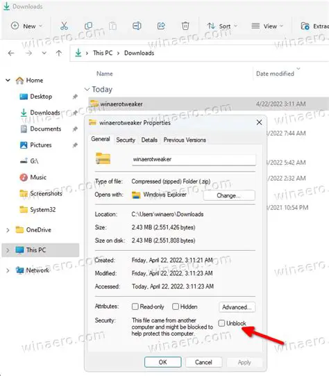 Files downloaded from the internet