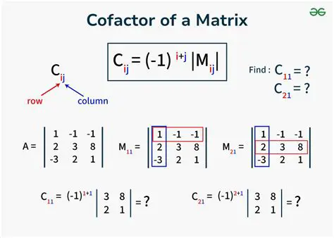 Finding the Cofactor Matrix of A