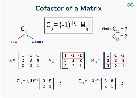 Finding the Cofactors of Matrix B
