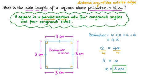 Finding the Side Length of the Square Window