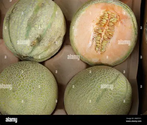 Four people share 3 melons