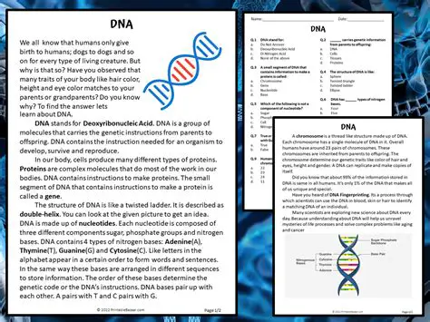 Frequently Asked Questions About DNA and Cellular Activities