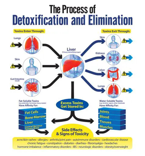 Heavy metal detoxification
