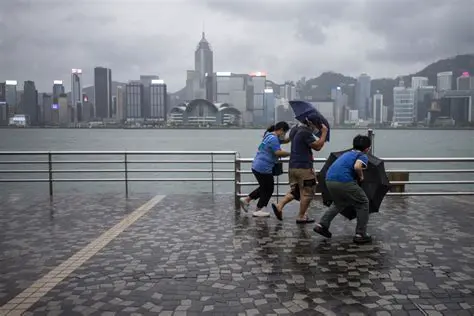 香港最新動態：即時資訊與深度分析