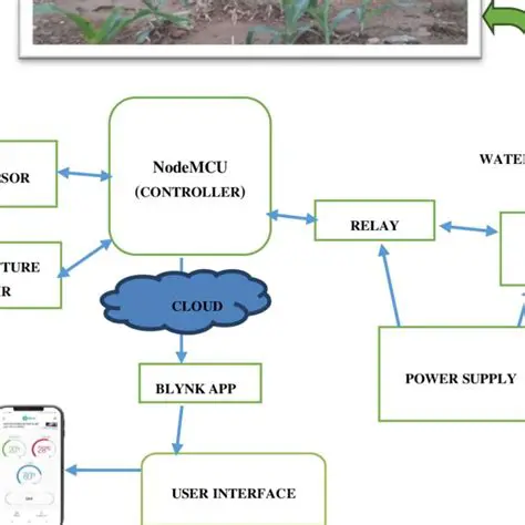 How Automatic Irrigation System Works