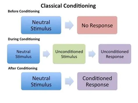How Classical Conditioning Works