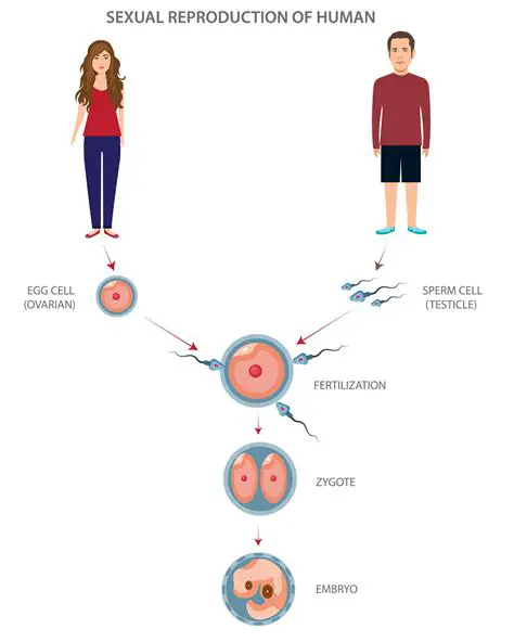 How to reproduce the issue