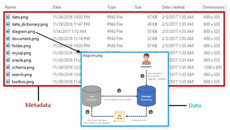 How to View Meta Data with the ImageTag Viewer
