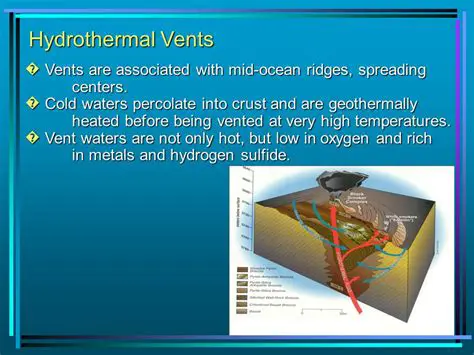 Hydrothermal Vent Communities