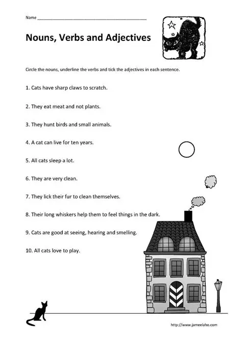 Identifying Adjectives and Nouns in Sentences
