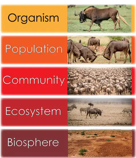 Identifying the Organism with the Lowest Population