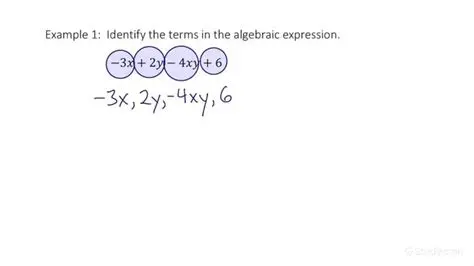 Identifying the Terms in the Expression