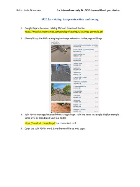 Image Extraction and Saving