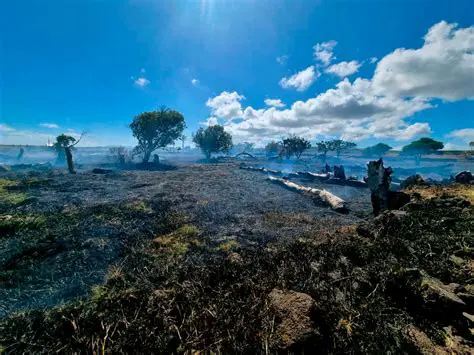 Impacto en la biodiversidad