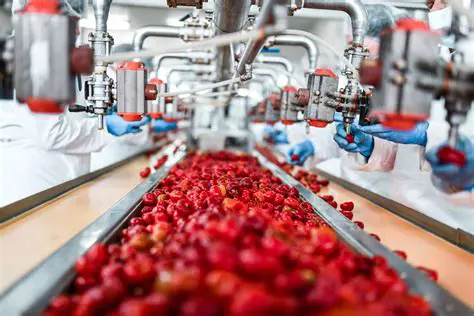 Importance of Slicing in Food Processing