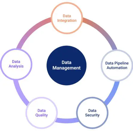 Improving Navigation and Clarity in Data Management