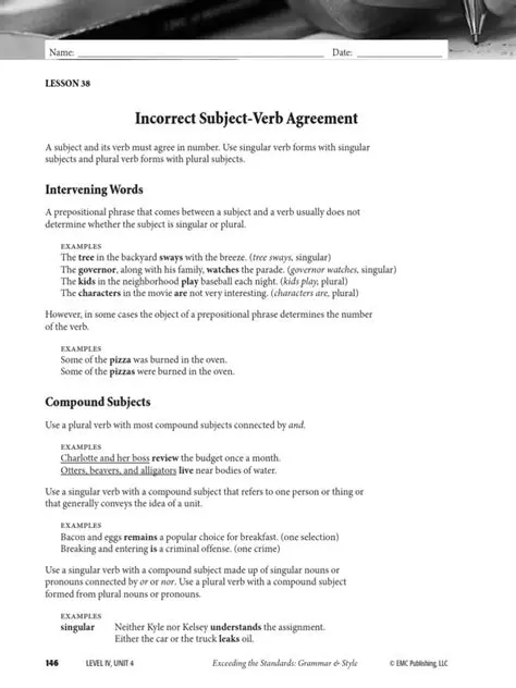 Incorrect Number Agreement