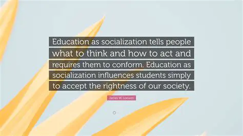 Increase education and socialization about driving safety
