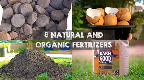 Increasing the use of organic fertilizer