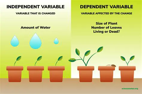 Independent and Dependent Variables