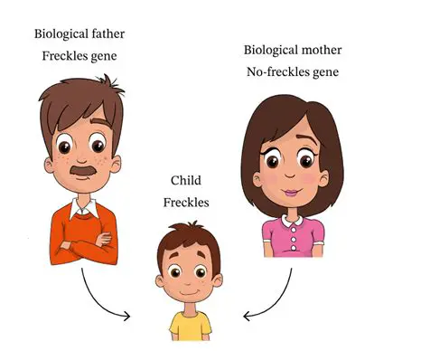 Inheriting Variables from Parent Theme