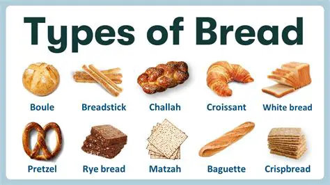 Initial Length of the Bread