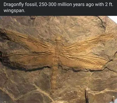 Insects have been on Earth for over 300 million years