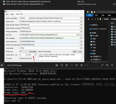 Integrated DVD encoding and burning engine