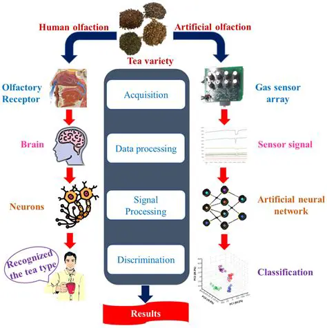 Intelligent Pattern Recognition