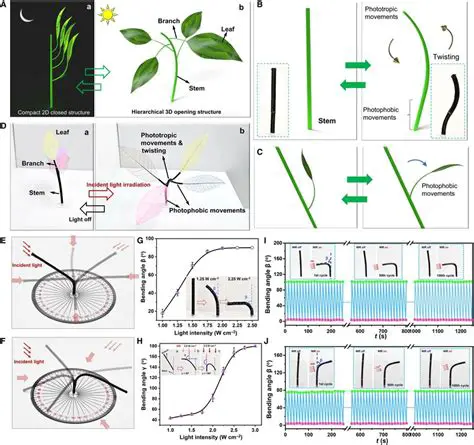 Intelligent Plant Schematics
