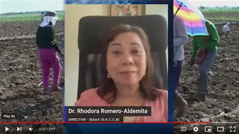 Interviews with Filipino experts