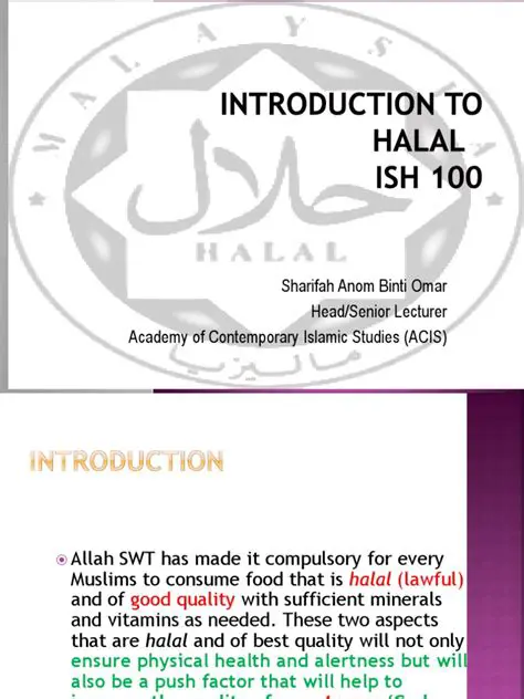 Introduction to Halal Clothing and Its Importance