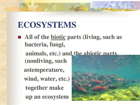 Introduction to the Study of Organisms and Their Environment