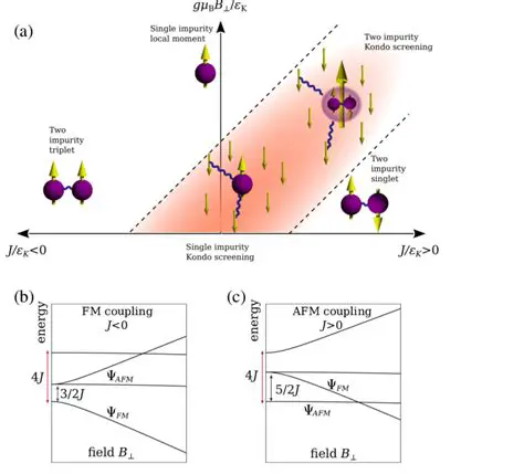 Investigating the effects of impurities on phase transitions