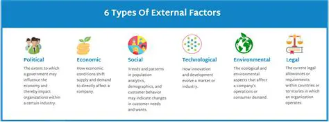 Investigating the Impact of External Factors