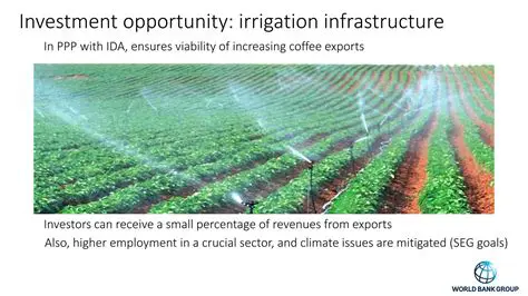 Investment in irrigation infrastructure