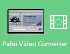 Key Features of Anyviewsoft Palm Video Converter