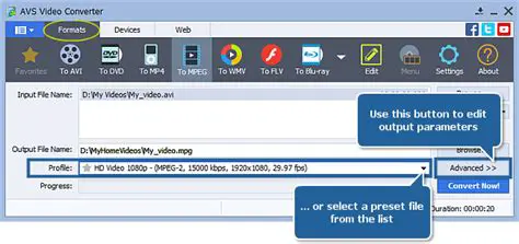 Key Features of Apex AVI DivX Xvid MPEG MOV RM WMV Converter